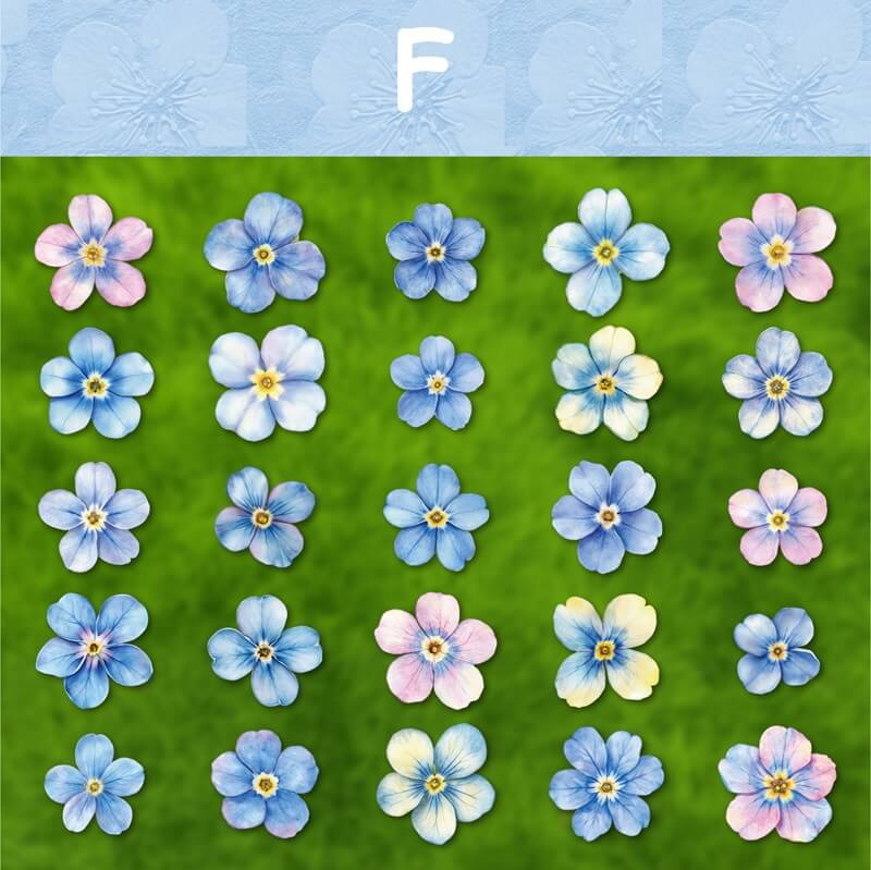 BloomingFlowers-HardCardStickers-Scrapbooking-F
