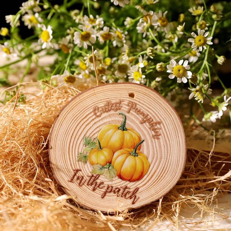 ColorfulAutumn-TransferStickers-Scrapbooking-8