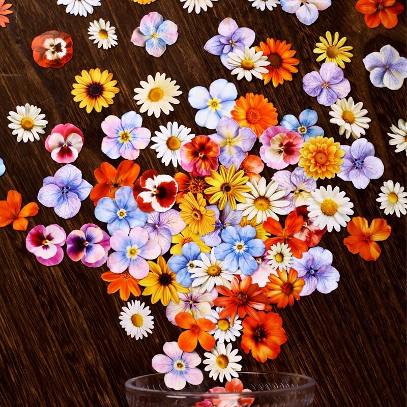 Blooming Flower Hard Card Stickers – loloyaya