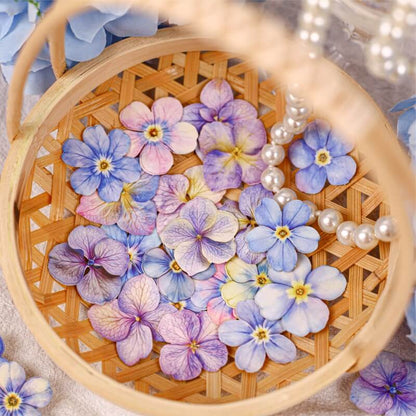 BloomingFlowers-HardCardStickers-Scrapbooking-3