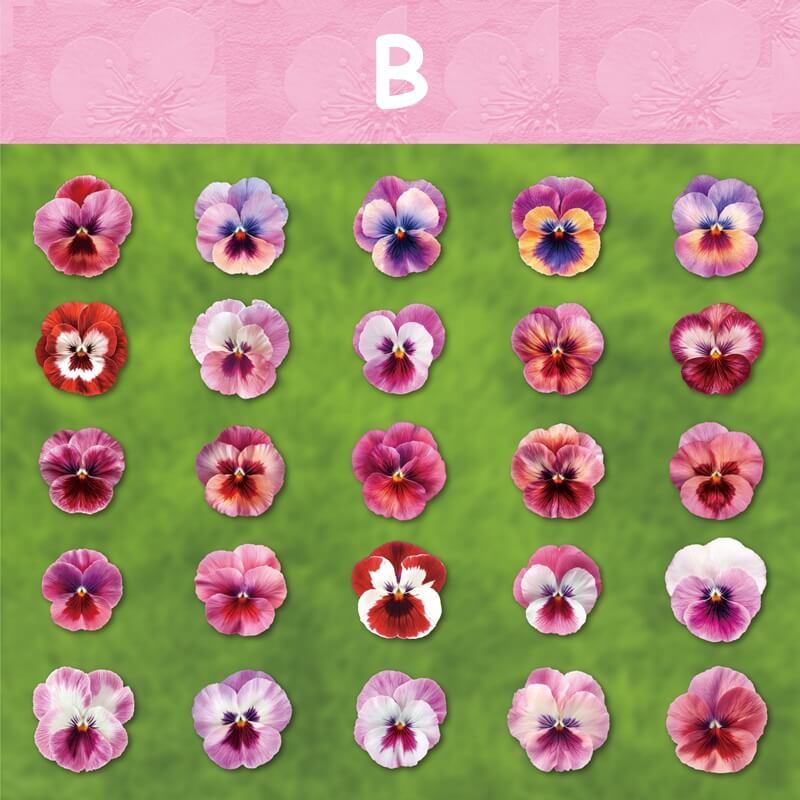BloomingFlowers-HardCardStickers-Scrapbooking-B