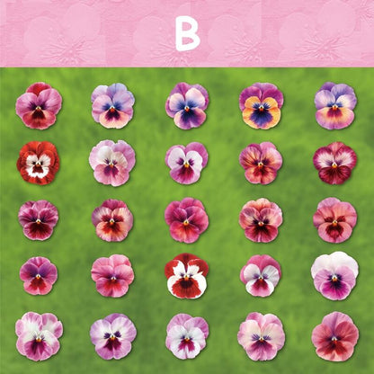 BloomingFlowers-HardCardStickers-Scrapbooking-B