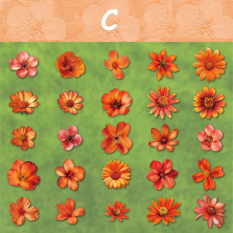 BloomingFlowers-HardCardStickers-Scrapbooking-C