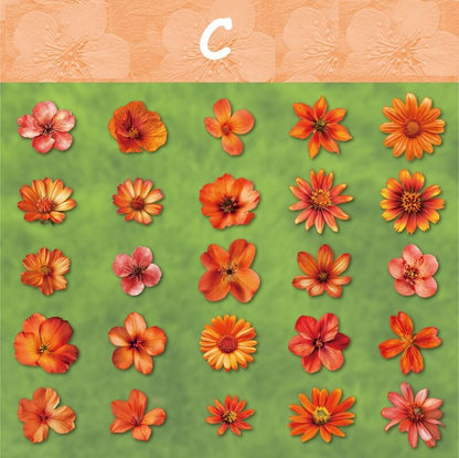 BloomingFlowers-HardCardStickers-Scrapbooking-C