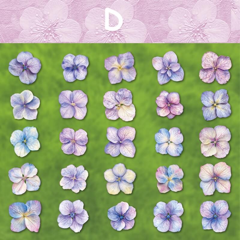 BloomingFlowers-HardCardStickers-Scrapbooking-D