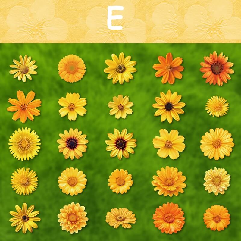 BloomingFlowers-HardCardStickers-Scrapbooking-E