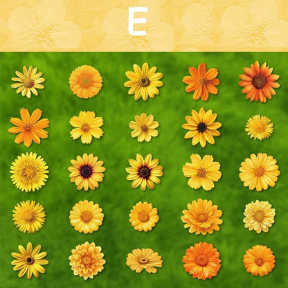 BloomingFlowers-HardCardStickers-Scrapbooking-E