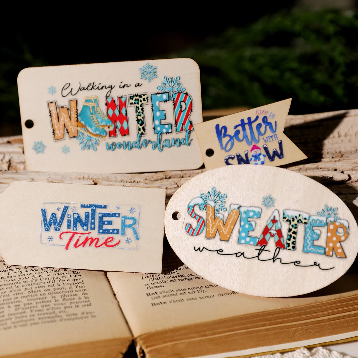 BlueWinter-TransferStickers-Scrapbook-4