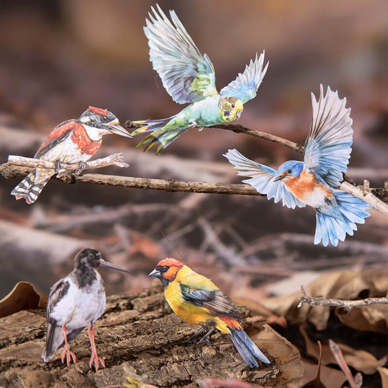 ForestBird-HardCardStickers-Scrapbook-1