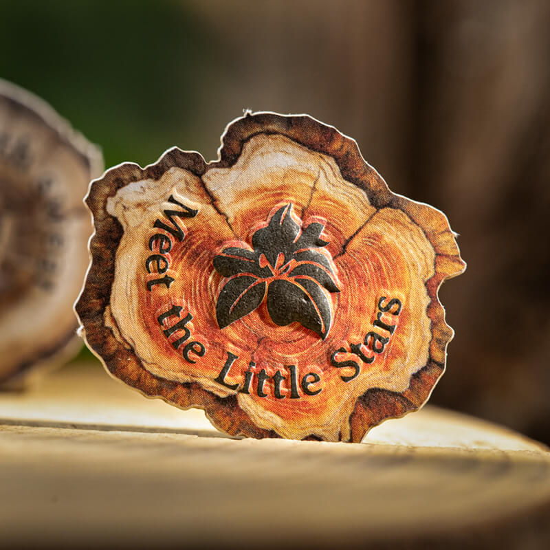 MiniWoodGrain-HardCardStickers-Scrapbook-2