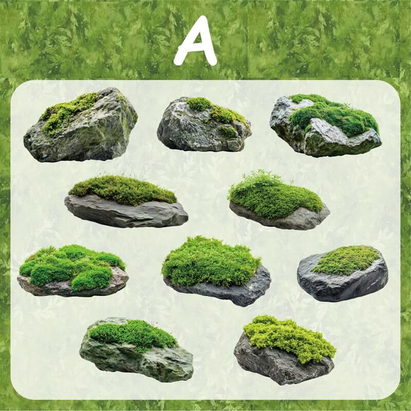 Moss-Sticker-Scrapbook-A