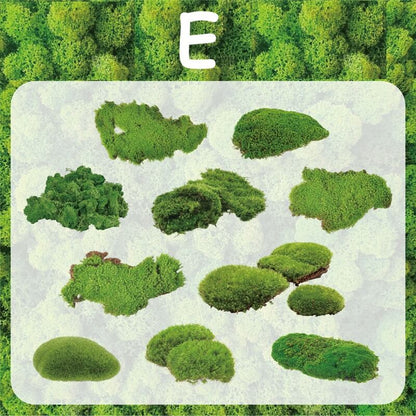 Moss-Sticker-Scrapbook-E
