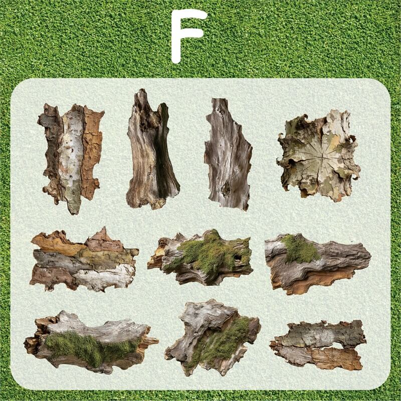 Moss-Sticker-Scrapbook-F