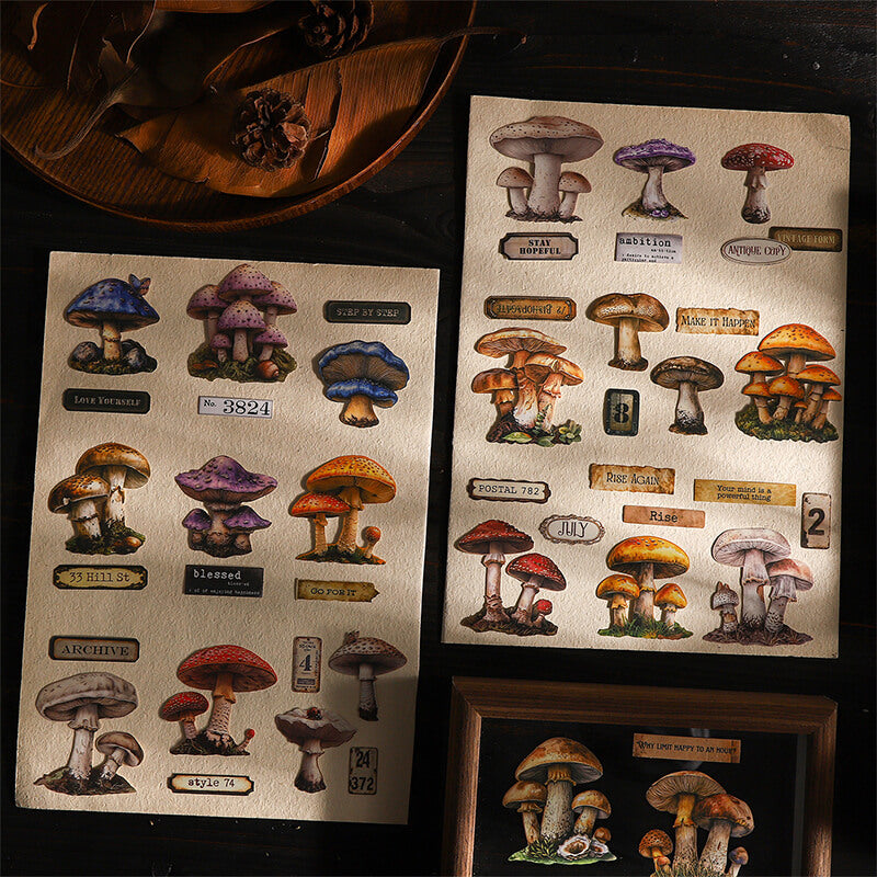 MushroomSpecimen-Sticker-Scrapbook-3