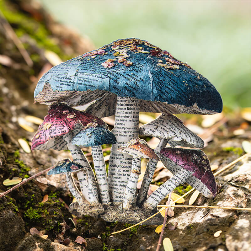 NatureTheme-HardCardStickers-Scrapbook-3