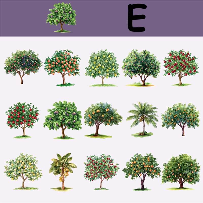 TreeTheme-Stickers-Scrapbook-E