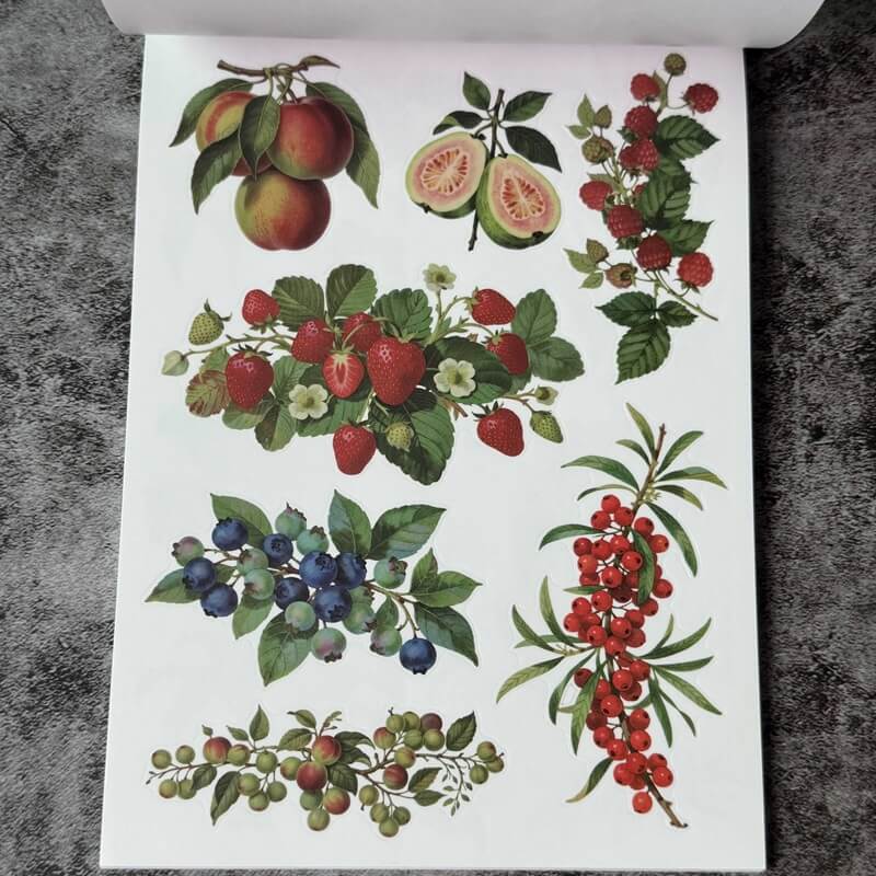 VintageStickerBook-Scrapbooking-8